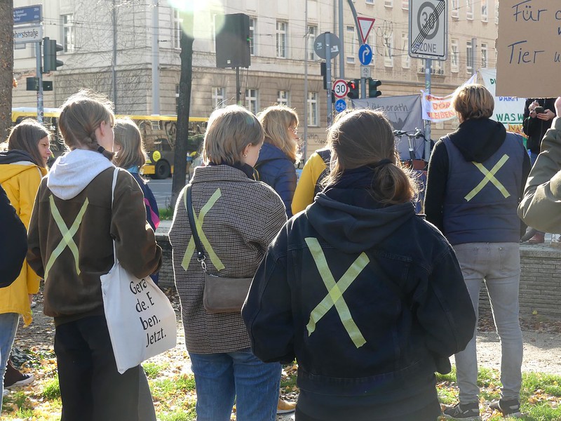 Menschen stehen auf einer Kundgebung, sie haben gelbe Kreuze auf dem Rücken.